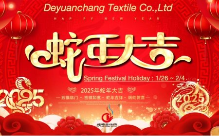 Spring Festival Holiday Notice
