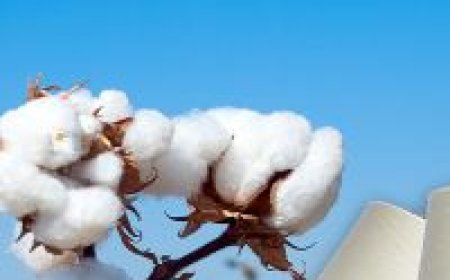 COTTON YARN INSTRUCTION