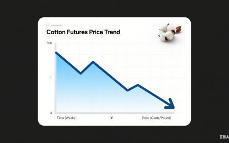 The Decline of Cotton Futures: Causes and Implications